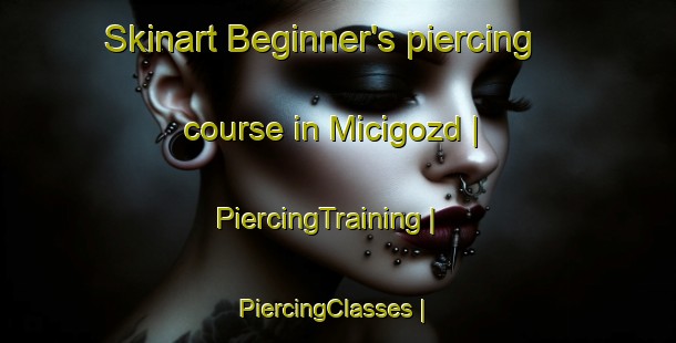 Skinart Beginner's piercing course in Micigozd | PiercingTraining | PiercingClasses | SkinartTraining-Poland